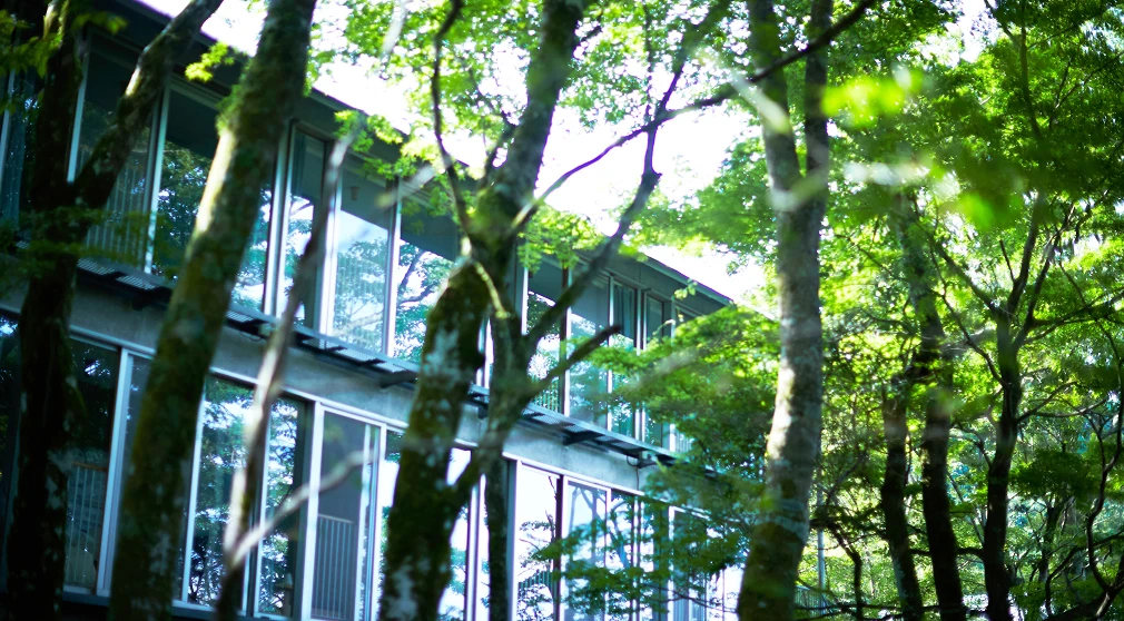 スーペリアツイン