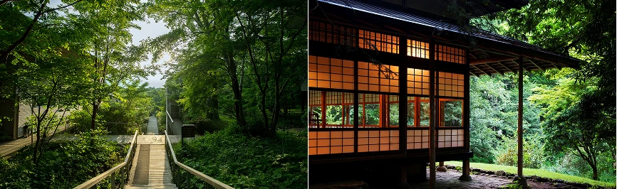 木々に囲まれた宿泊施設の外観と緑豊かな庭園へと続く小道、自然に溶け込む宿の雰囲気