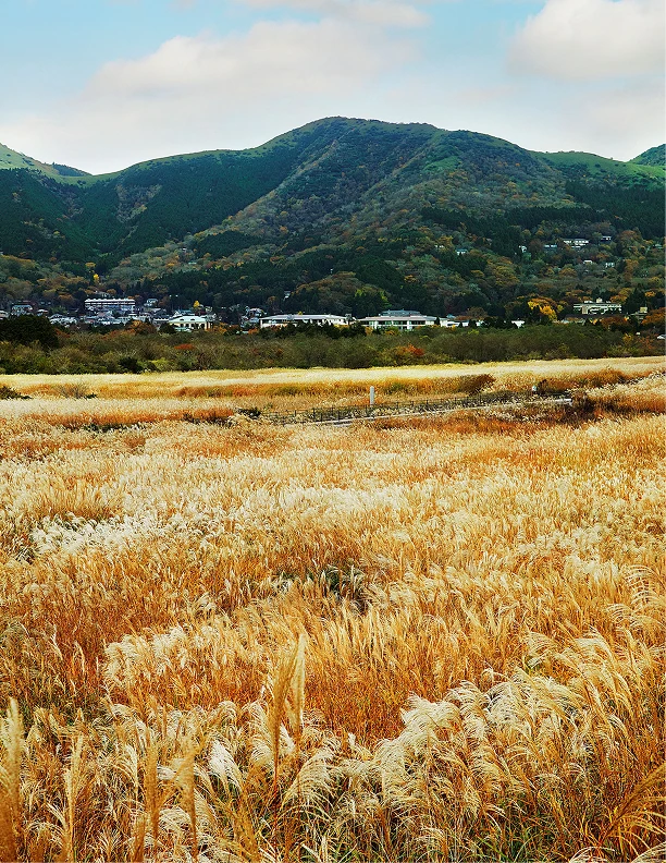 山に囲まれた草原風景、のどかな自然の広がり
