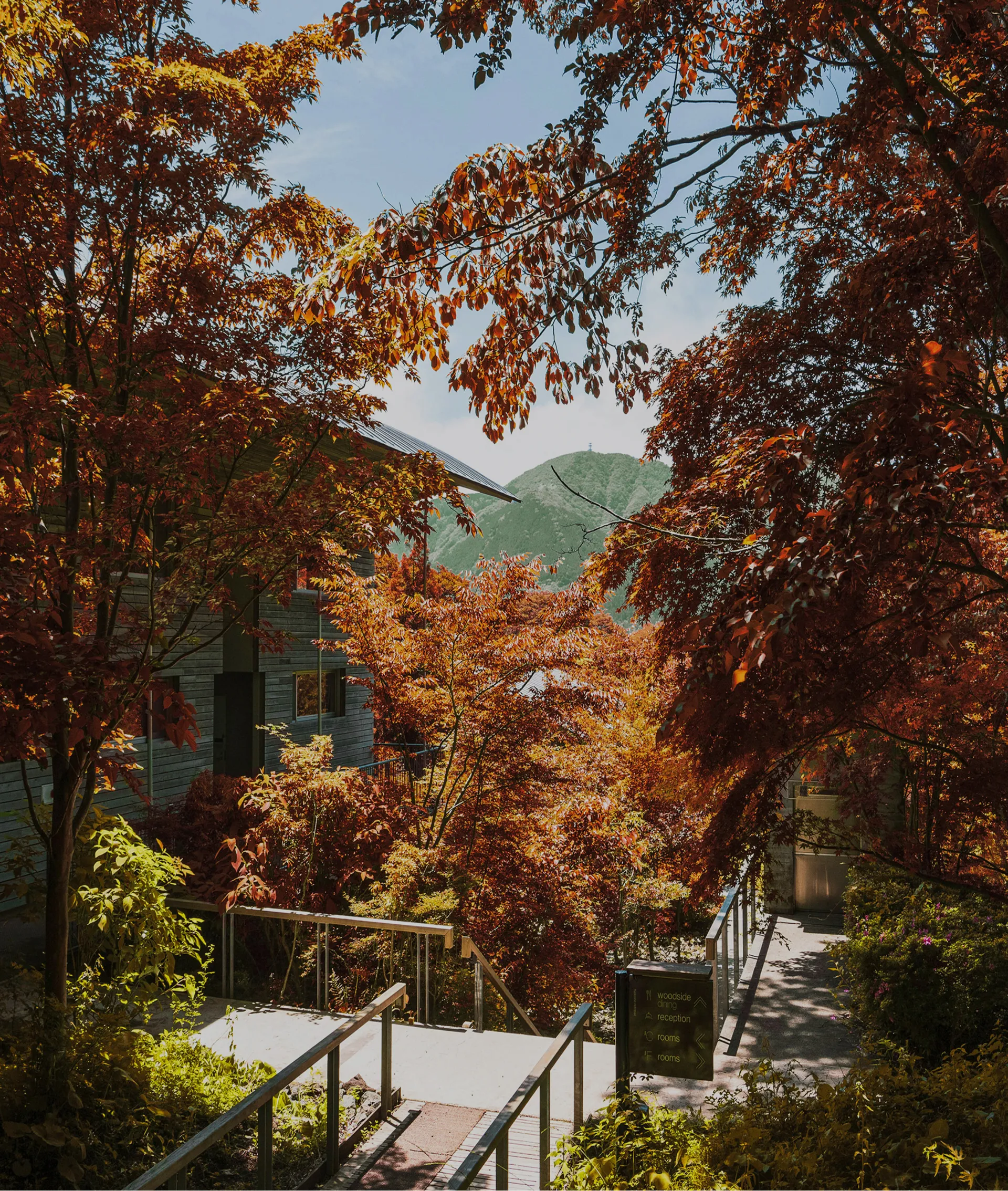 紅葉に彩られた小径と建物、秋の深まりを感じる風景