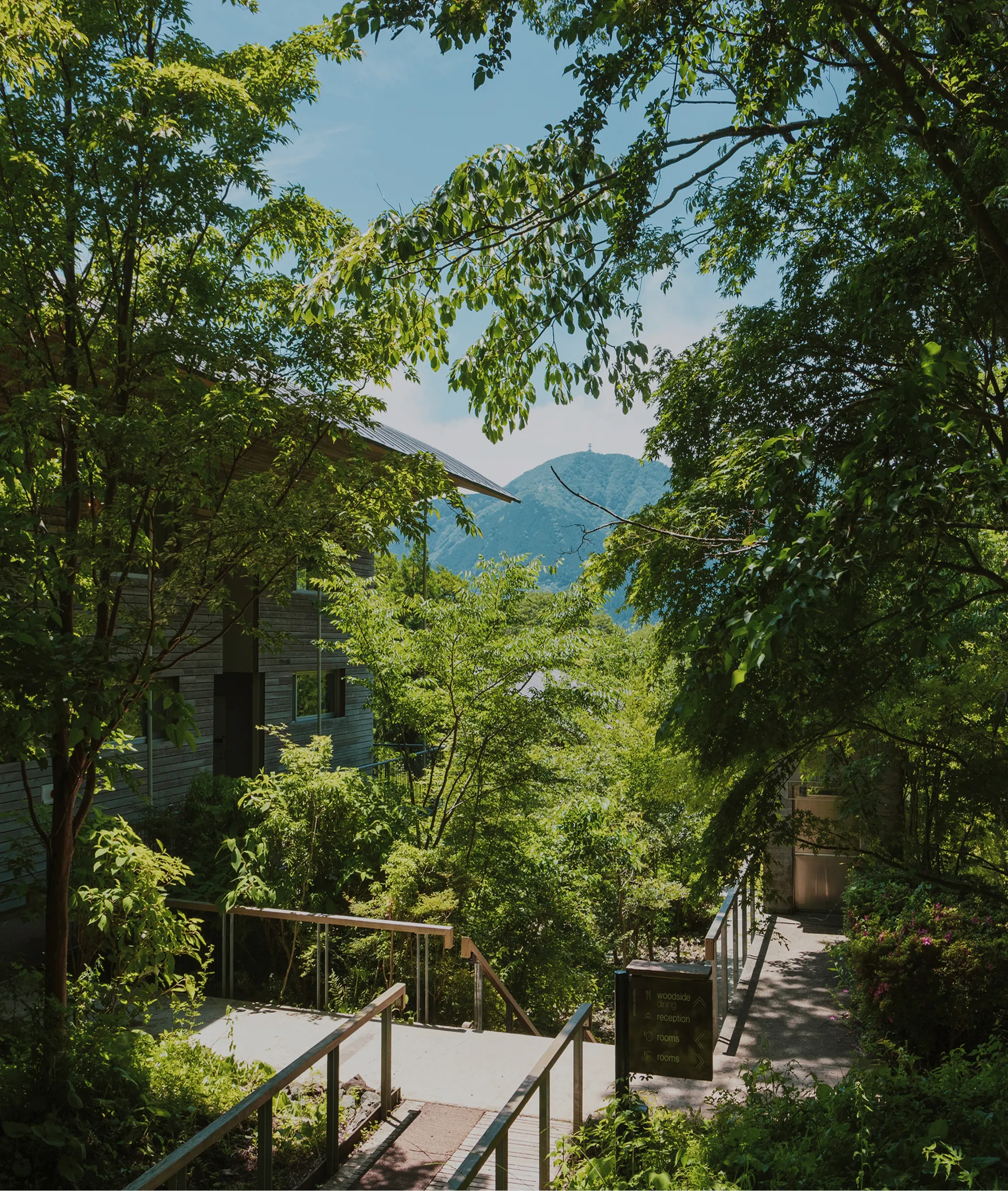 新緑に包まれた小径と建物、背景に山並みが広がる夏景色