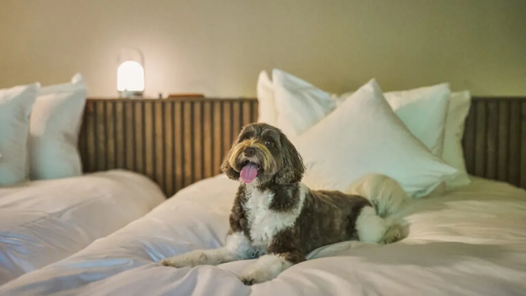 温泉スイート（ドッグフレンドリー）「いぶき」14号棟