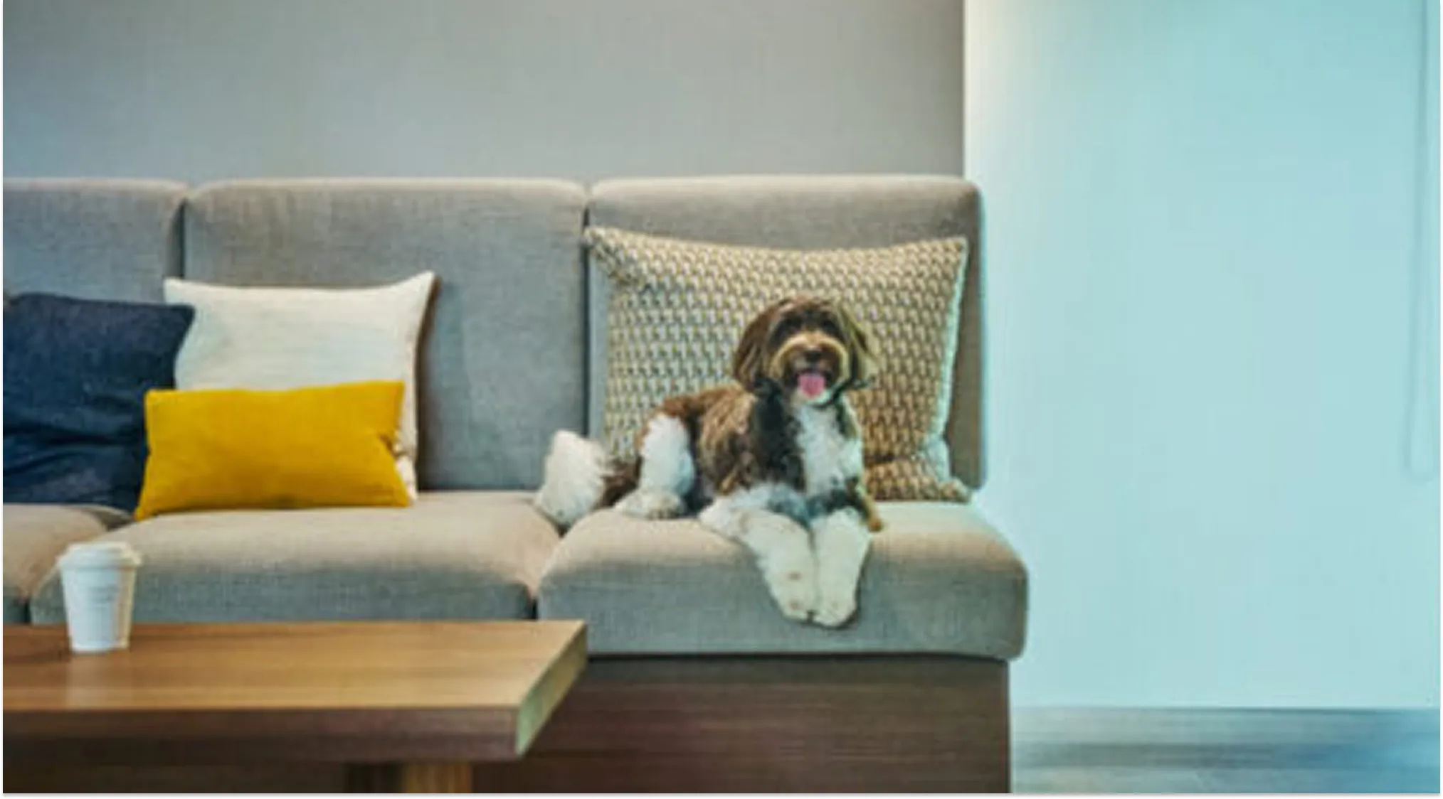 温泉スイート（ドッグフレンドリー）「いぶき」（14号棟）