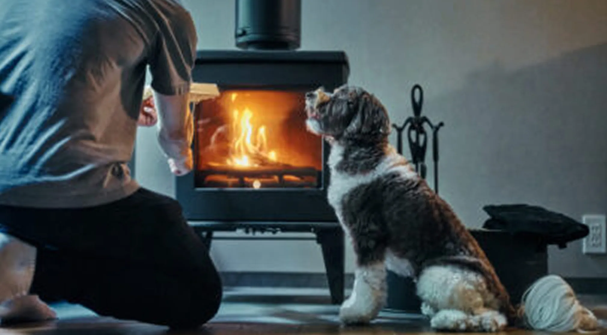 温泉スイート（ドッグフレンドリー）「いぶき」（14号棟）