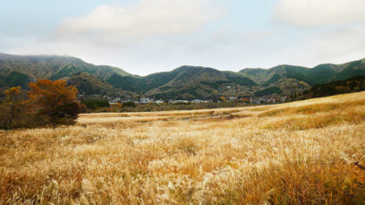 ツキノワグマの出没情報は確認されておりません