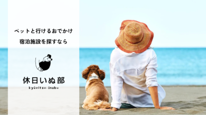 『休日いぬ部』で紹介されました
